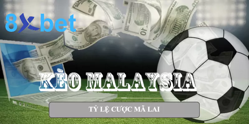 Tỷ lệ cược bóng đá là gì? Giải thích dễ hiểu về tỷ lệ cá cược 4 Tỷ lệ cược Mã Lai